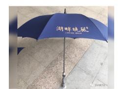 萬向湖畔曉風·雨(yǔ)傘